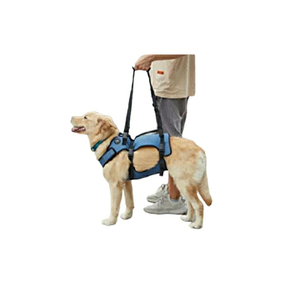 coodeo Dog New Dog Lift Harness Coodeo Large Blue Mobility Walking